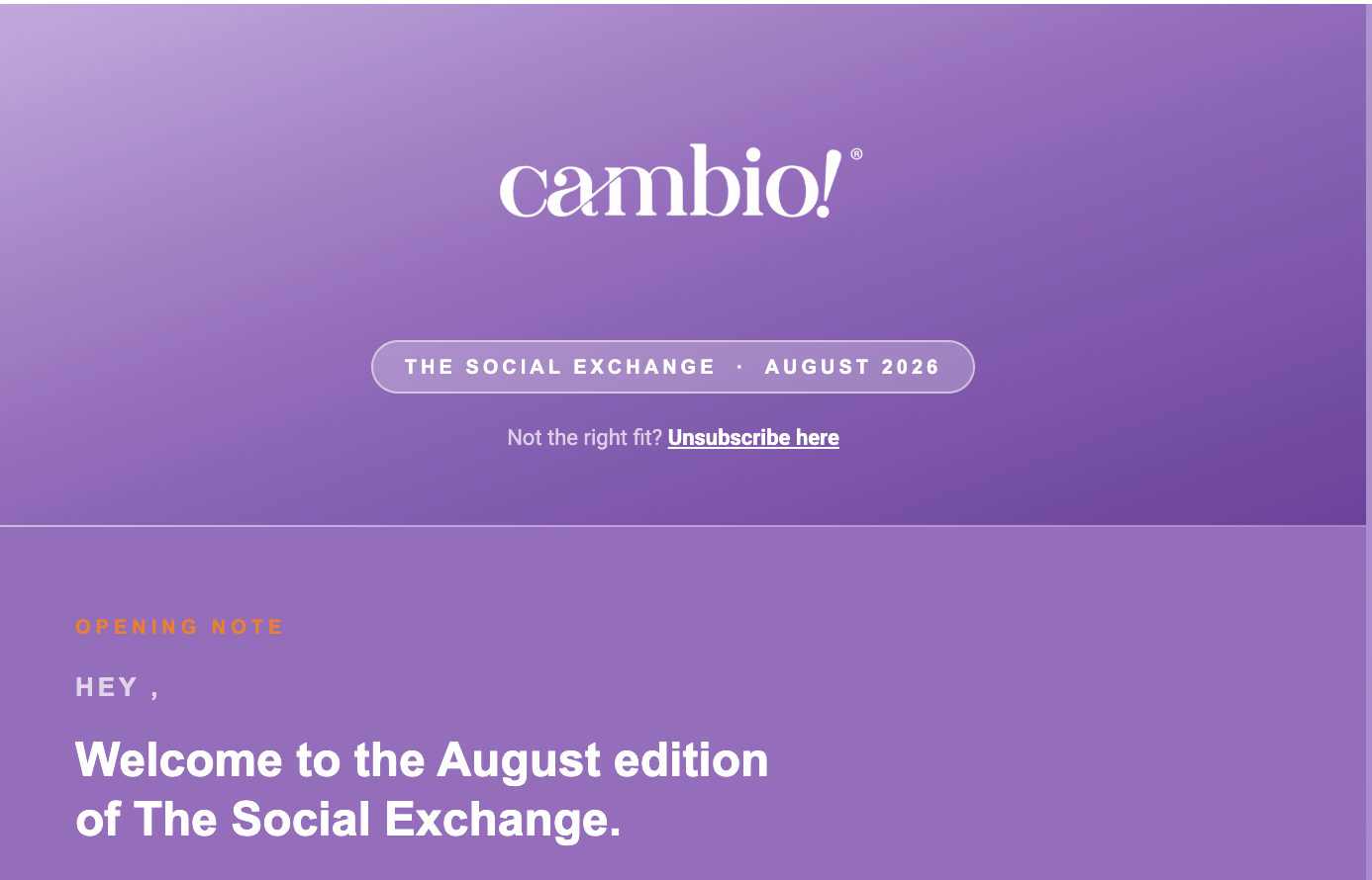 Newsletter & Email Funnel