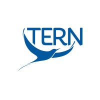 TERN Γ Cambio logo